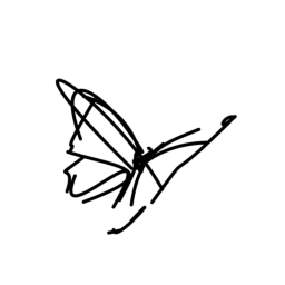 butterfly