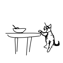 cat