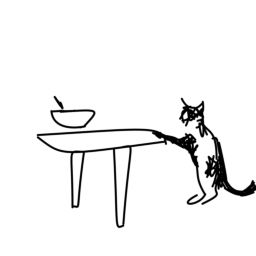 cat